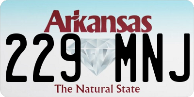 AR license plate 229MNJ