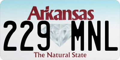 AR license plate 229MNL