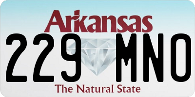 AR license plate 229MNO