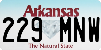 AR license plate 229MNW