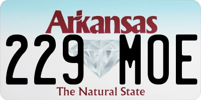 AR license plate 229MOE