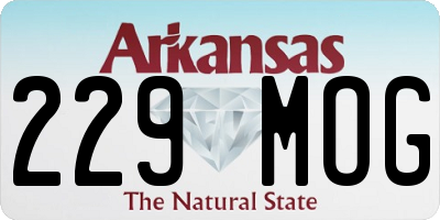 AR license plate 229MOG