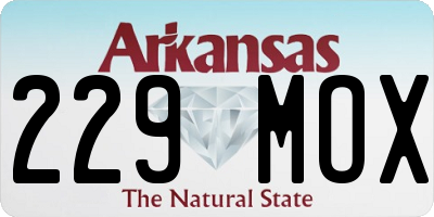 AR license plate 229MOX
