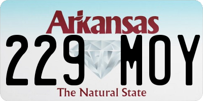 AR license plate 229MOY