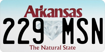 AR license plate 229MSN
