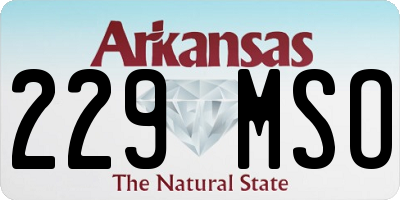 AR license plate 229MSO