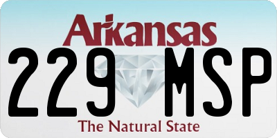 AR license plate 229MSP