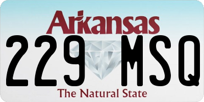 AR license plate 229MSQ