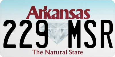 AR license plate 229MSR