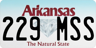 AR license plate 229MSS