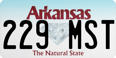 AR license plate 229MST