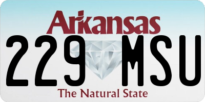 AR license plate 229MSU