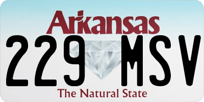 AR license plate 229MSV