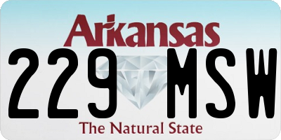 AR license plate 229MSW