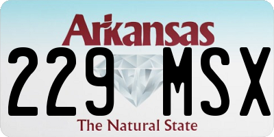 AR license plate 229MSX