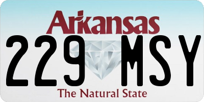 AR license plate 229MSY