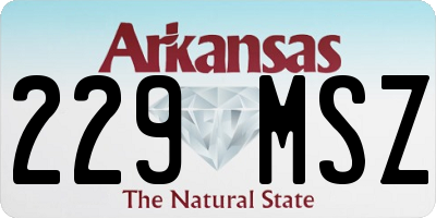 AR license plate 229MSZ