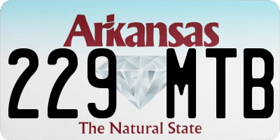 AR license plate 229MTB