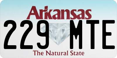 AR license plate 229MTE
