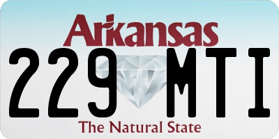 AR license plate 229MTI