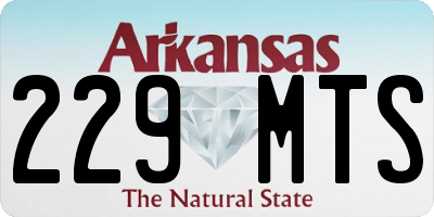 AR license plate 229MTS