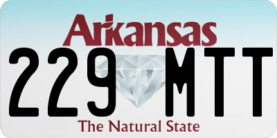AR license plate 229MTT