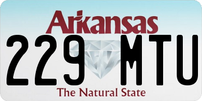 AR license plate 229MTU