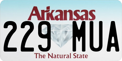 AR license plate 229MUA