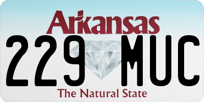 AR license plate 229MUC