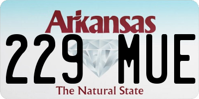 AR license plate 229MUE