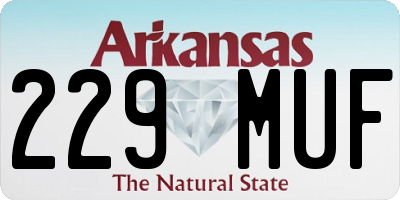 AR license plate 229MUF