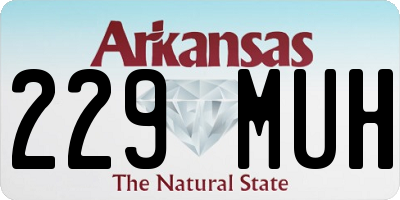 AR license plate 229MUH