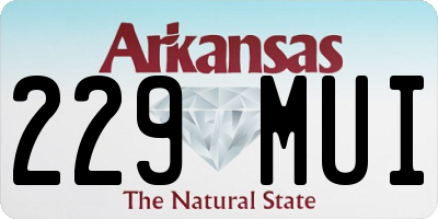 AR license plate 229MUI