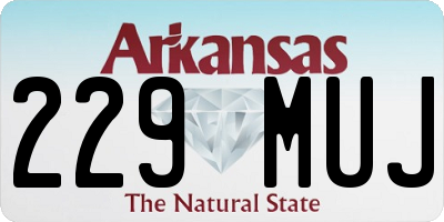 AR license plate 229MUJ