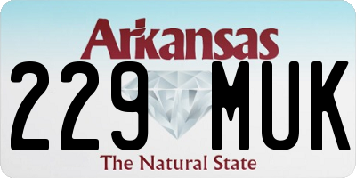 AR license plate 229MUK
