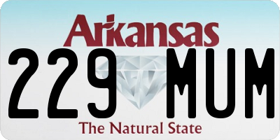 AR license plate 229MUM