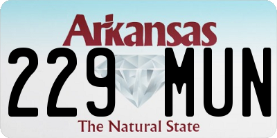 AR license plate 229MUN