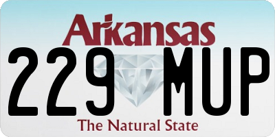 AR license plate 229MUP