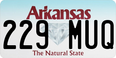 AR license plate 229MUQ