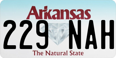 AR license plate 229NAH