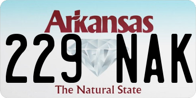 AR license plate 229NAK