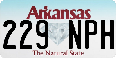 AR license plate 229NPH