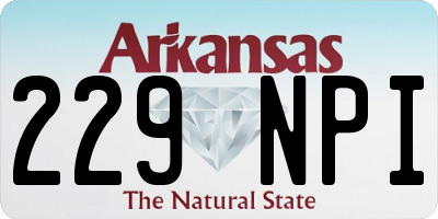 AR license plate 229NPI