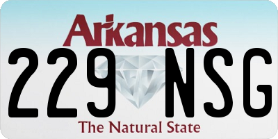 AR license plate 229NSG