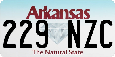 AR license plate 229NZC