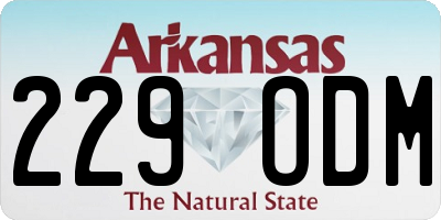 AR license plate 229ODM