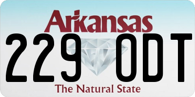 AR license plate 229ODT