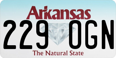 AR license plate 229OGN
