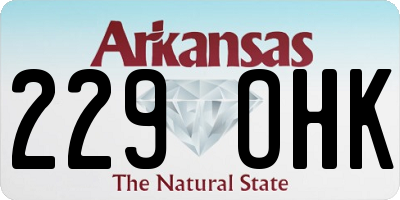 AR license plate 229OHK