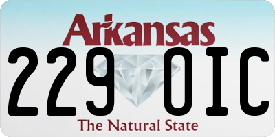 AR license plate 229OIC